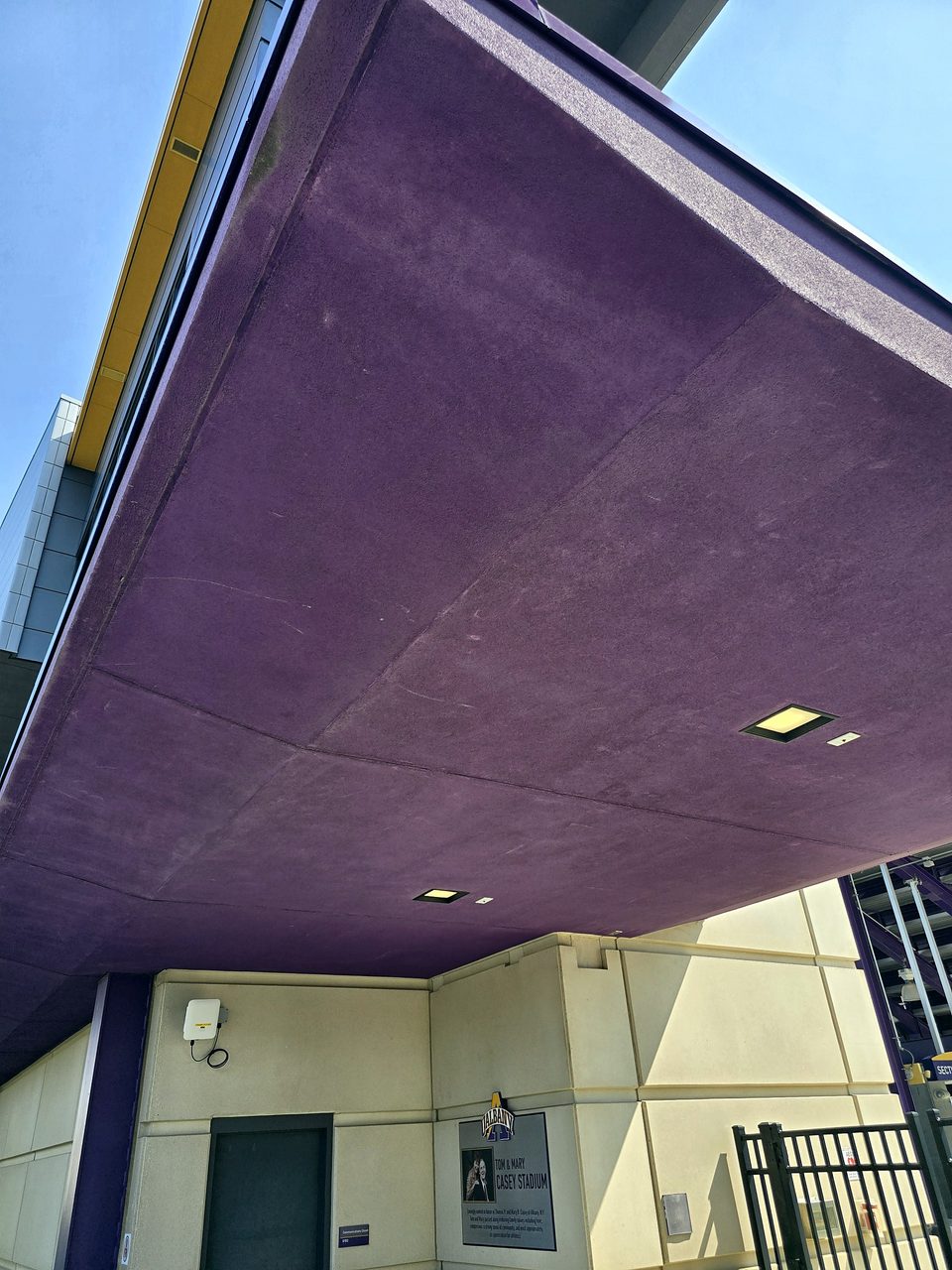 Before: chalked purple coating on the canopy underside at the April site walk