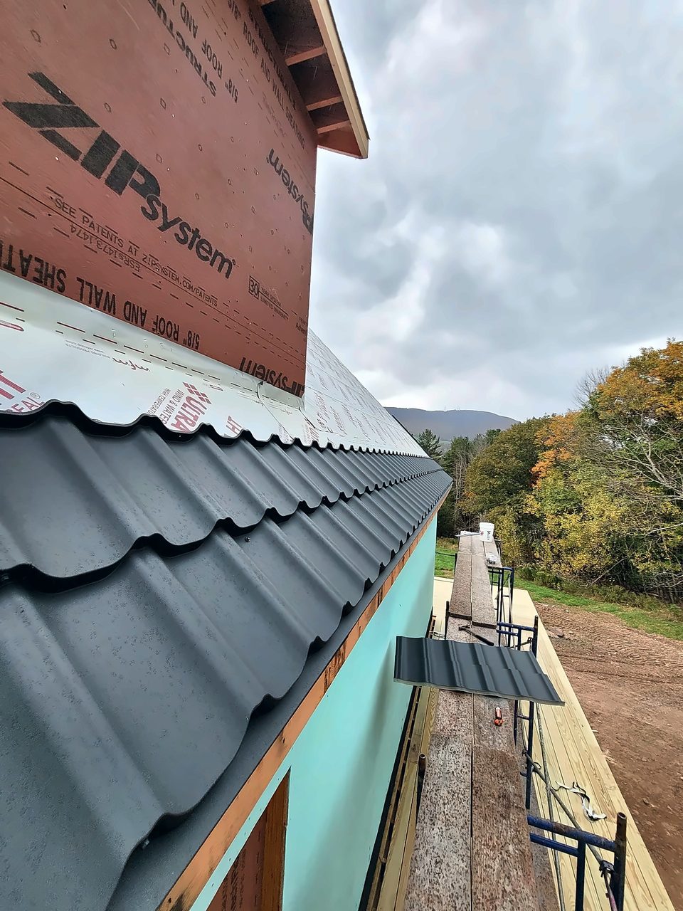 Metal roof edge over ZIP sheathing, 2021